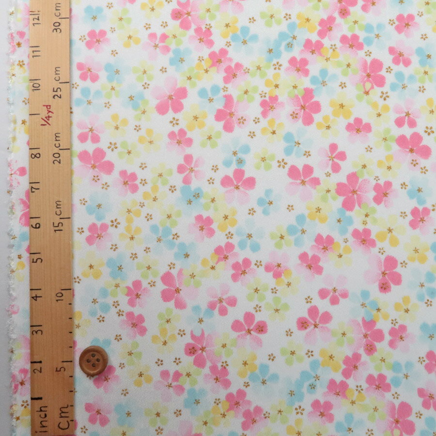 ��ۤ��������� �դ�����(��/����) 10cmñ�� �ڤ����