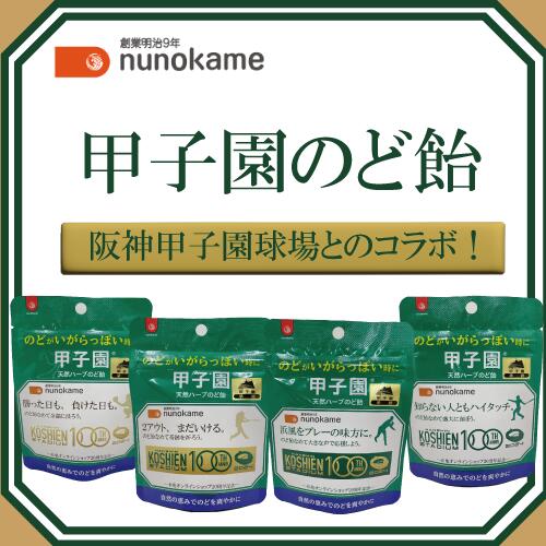 【クーポン有+P5倍】【阪神甲子園球場 コラボ】4種セットで送料無料 甲子園 のど飴 漢方 ハーブ のどあめ 布亀 風邪予防 桔梗 生姜 朝鮮人参 甘草 エキナセア プロポリス 応援 カラオケ 声が枯れた時に