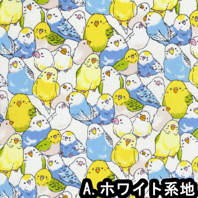 二重ガーゼ ダブルガーゼ FUWARI・染布 シリーズ 1m単位切り売り インコ 4色ありま...