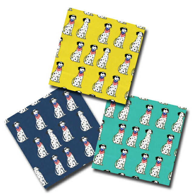 1mñ���ڤ���� ���å��� �ץ��� ��2�� ���󥰥饹 ����᥷���� 3������ޤ� ���� �� ���� ����᥷������ �� ���� ���˥ޥ� ���˥ޥ��� ưʪ ưʪ...