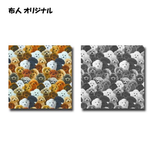 50cm単位切り売り デジタル プリント オックス生地 布人オリジナル リアルトイプードルのぬいぐるみ 2色あります 生地 布 布地 トイプードル 犬 犬柄 アニマル 動物柄 オックス ぬいぐるみ 犬柄の生地 インクジェット いぬ かわいい
