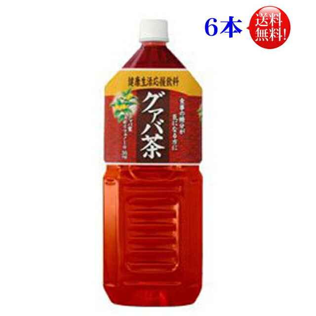 【送料無料】宝積飲料 グァバ茶 2リ