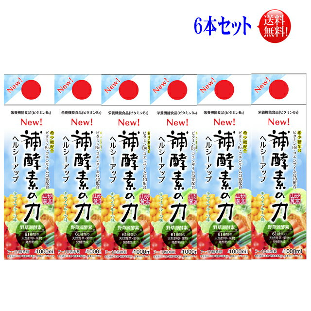 補酵素のちから キウイフルーツ味　1000ml　6本セット【送料無料】【10倍濃縮】希少糖配合 発酵彩果 フジスコ