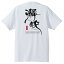瀞峡Tシャツ #半袖,和柄,筆文字,熊野,吉野,お土産,ご当地Tシャツ 2,640円
