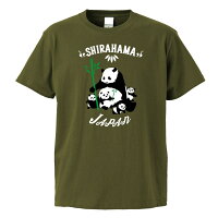 南紀白浜ファミリーパンダTシャツカーキ