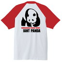 SHIRAHAMA-PANDA Tシャツ ＃半袖,和歌山県,南紀白浜,