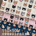 【110×50cm 3枚セット】猫柄 生地 布 猫図鑑 シーチング コットン100% 入園入学準備に 商用利用可 ねこ柄 オシャレ お洒落 ヌノズキ/猫図鑑3色...