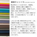 【新色追加全30色に！】無地 生地 布 nunozuki綿麻キャンバス【50cm単位販売】 コットン85％リネン15％ 50cm単位販売 コットンリネン 商用利用可 入園 入学 手作り ヌノズキ 770 50cm 3