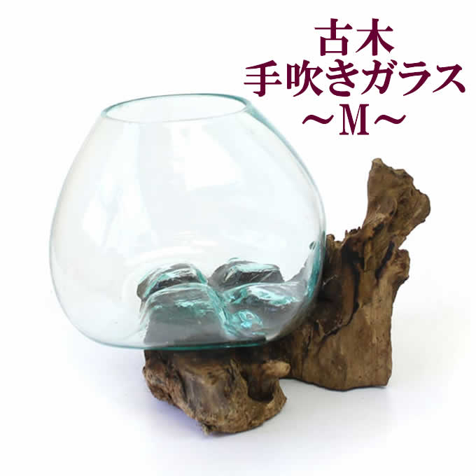 古木手吹きガラスMガラス器フラワー...