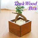 チークボックス 木製 ウッド 木 チークウッド 小物入れ BOX 収納 無垢 大人 アジアン雑貨 インテリア 天然素材 おしゃれ モダン
