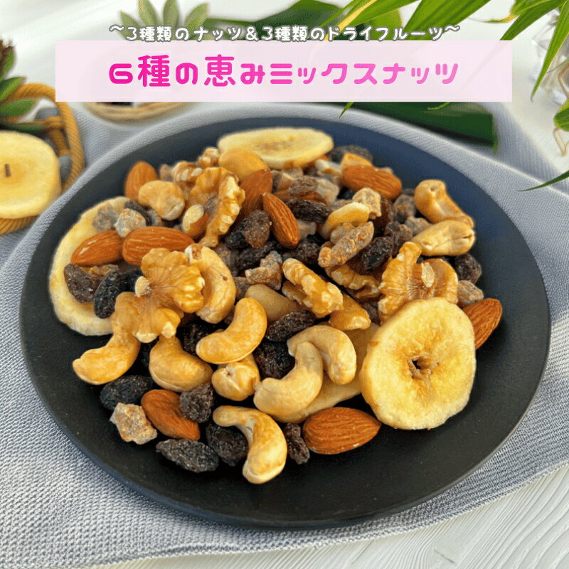 ミックスナッツ 6種の恵みミックスナッツ 6種類ミックスナッツ ナッツ ドライフルーツ ミックスナッツ ..