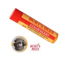 【送料無料】米国 BURT'S BEES バーツビーズ リップバーム クリーム STRAWBERRY 1本 ストロベリー フレーバー アメリカンスタイル ハリウッドスマイル 唇ケア