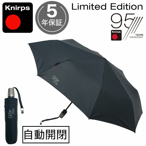 【最大3000円クーポン配布中】 折りたたみ傘 ...の商品画像