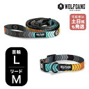 ウルフギャング マンアンドビースト 首輪リードセット LMサイズ 大型犬用 WOLFGANG MAN & BEAST ChevTech WC-003-WL-00...