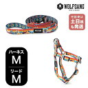 ウルフギャング マンアンドビースト ハーネスリードセット MMサイズ 中型犬用 WOLFGANG MAN & BEAST MountainVibes WH-002-WL-002-118 アメリカ製 簡単 丈夫 ソフト おしゃれ 【メール便対応商品1セットまで】