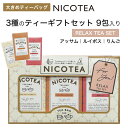 紅茶 ギフトセット 【RELAX】大きめティーバッグ ギフト NICOTEA ニコティー 9包入り アッサム ミルクティー ルイボス りんご アップルティー 【...