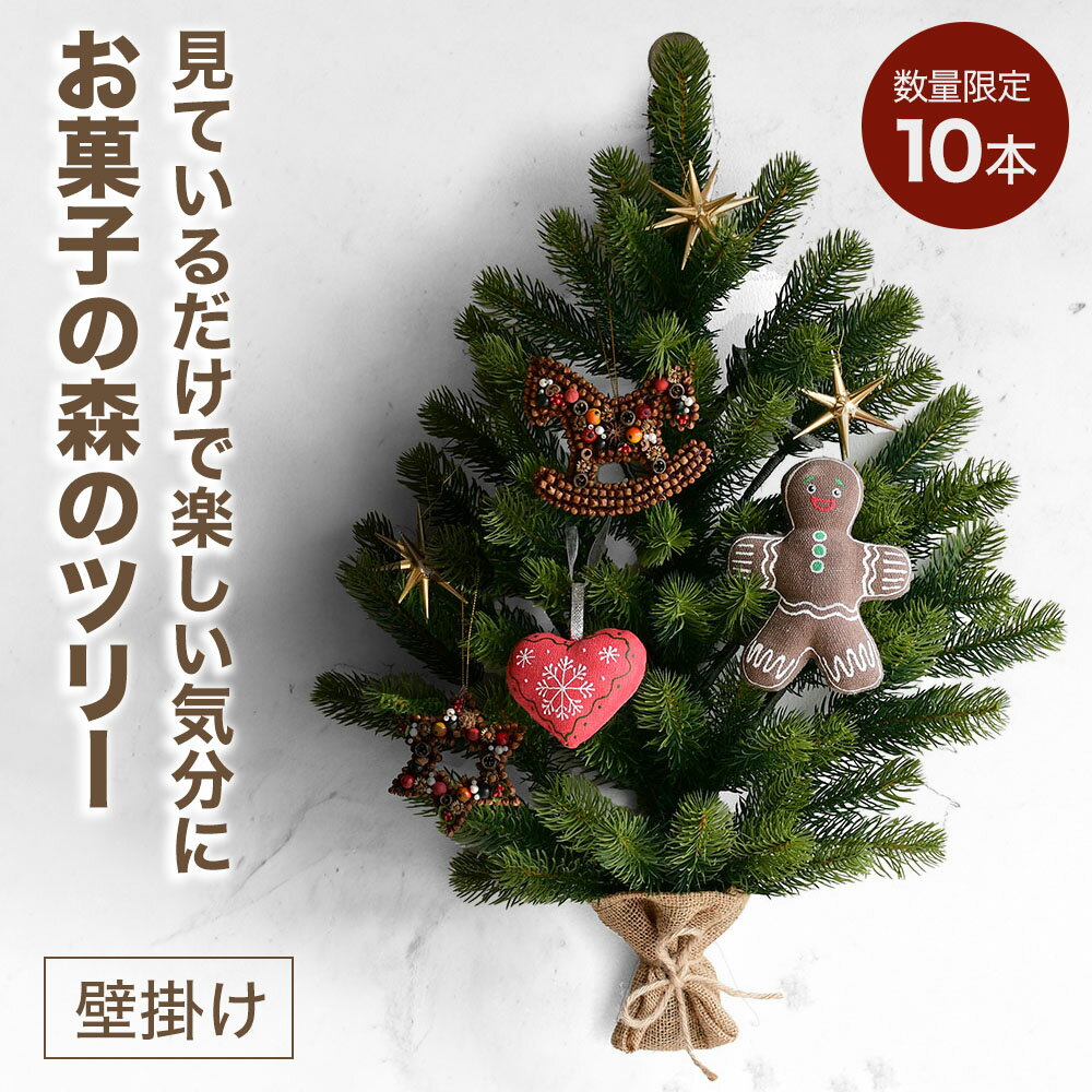 壁掛け式 クリスマスツリー ドイツ製オーナメント付き スパイスオーナメント馬 スパイスオーナメント星 ジンジャークッキーマン スノーフレークオーナメント ハート...