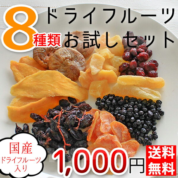 【送料無料】豪華！8種のドライフルーツお試しセット 1000円 送料無料 ドライフルーツ ゆうメール発送 ドライマンゴー お菓子作り パン作り クランベリー 国産りんご ブルーベリー パイナップル 枝付き干しぶどう 国産みかん いちじく