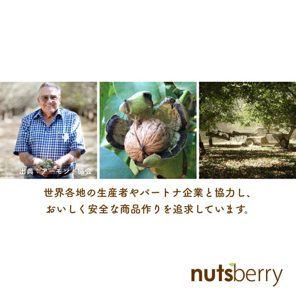 送料無料!ナッツのお試しセット