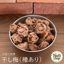 紀州四季の梅本舗 紀州産干し梅 150g