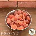 フリーズドライ いちご 顆粒 100g 業務用 ドライいちご 苺 トッピング ストロベリー フルーツ パウダー チョコ バレンタイン 材料 常温保存 送料無料