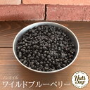 ブルーベリー 250g ドライフルーツ アメリカ産 世界美食探究 ワイルド種 （メール便）乾燥 製菓材料 製パン材料 おつまみ 国内加工