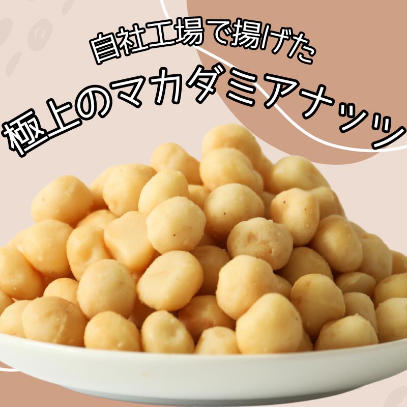 【まとめ買い】 マカデミアナッツ 500g 5袋セット ナッツ フライ加工 自社製造 工場直送 塩あり 有塩 おやつ おつまみ ツマミ ホールサイズ カリッと食感 オーストラリア産 送料無料 3