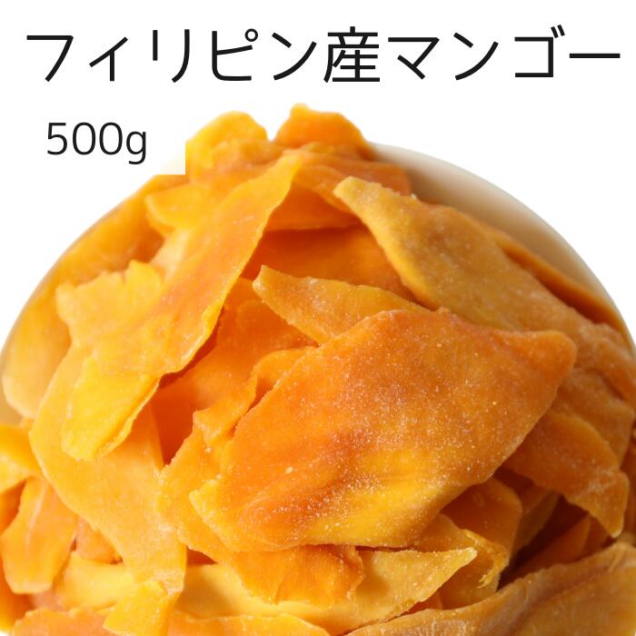 フィリピン産マンゴー 500g マンゴー