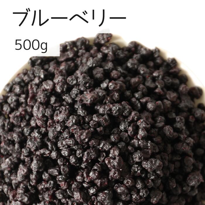 ブルーベリー 500g ドライフルーツ 