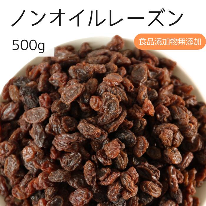 ノンオイルレーズン 500g レーズン 