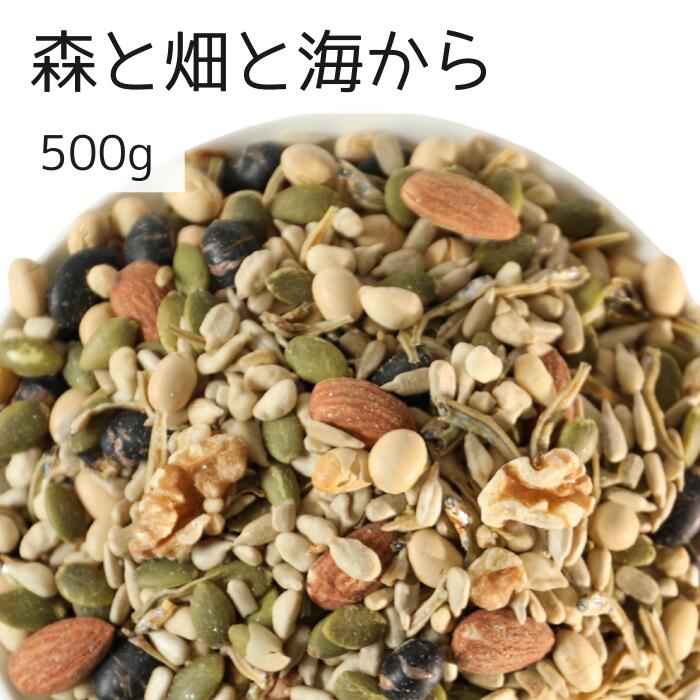 森と畑と海から 500g アーモンド ひまわりの種 かぼちゃの種 白大豆 くるみ 片口いわし 黒大豆 ミックス ナッツ 自社製造 工場直送 塩あり 有塩 おやつ おつまみ ツマミ 送料無料