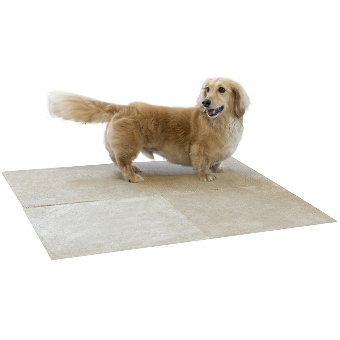 オカ(OKA) ペット用ラグマット ピタペトモ 約45cm×45cm 4枚セット プレーン ベージュ 吸着ずれないタイル カーペット ジョイントマット