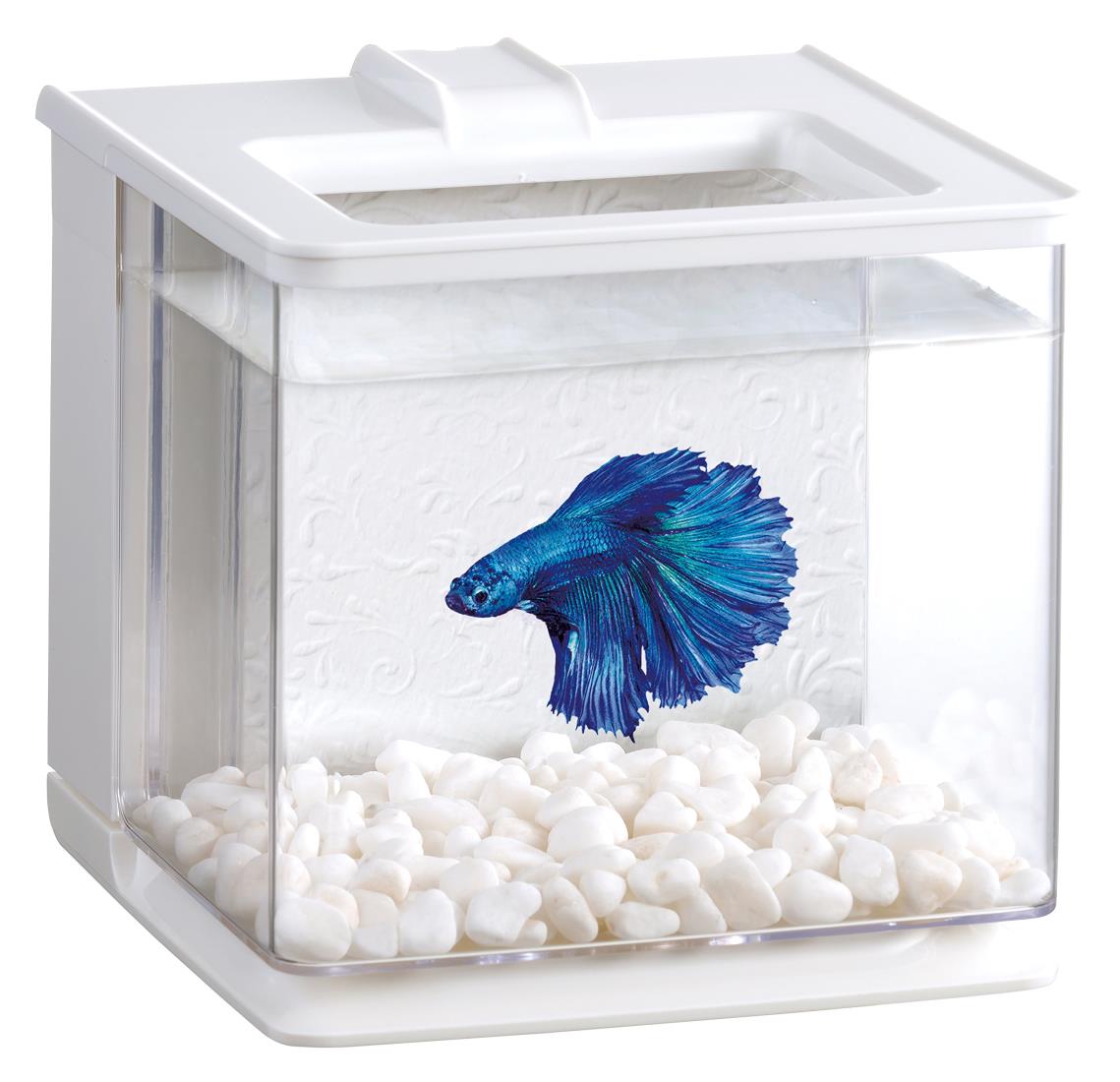 ジェックス GEX A QUARIUM 楽ア クア ホワイト 水換え簡単コンパクト水槽ベタ飼育W16×D17×H16cm 約2.1L