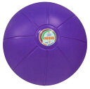 NISHI(ニシ・スポーツ) ネモメディシンボール 2kgNT5882C(4)