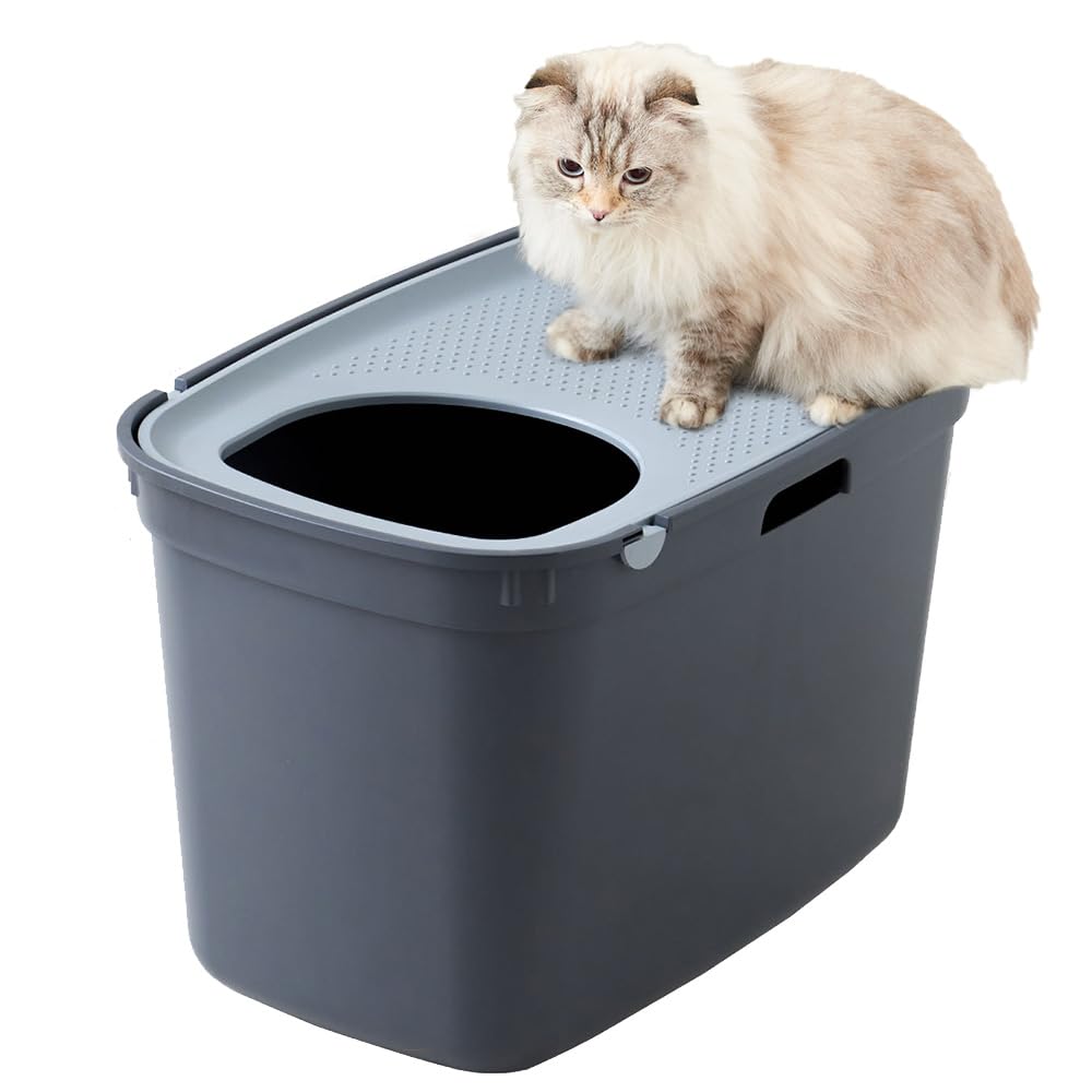 【OFT】TOPCAT キャット クールグレー