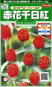 サカタのタネ 実咲花6495 赤花千日紅 ストロベリ ーフィールド 00906495