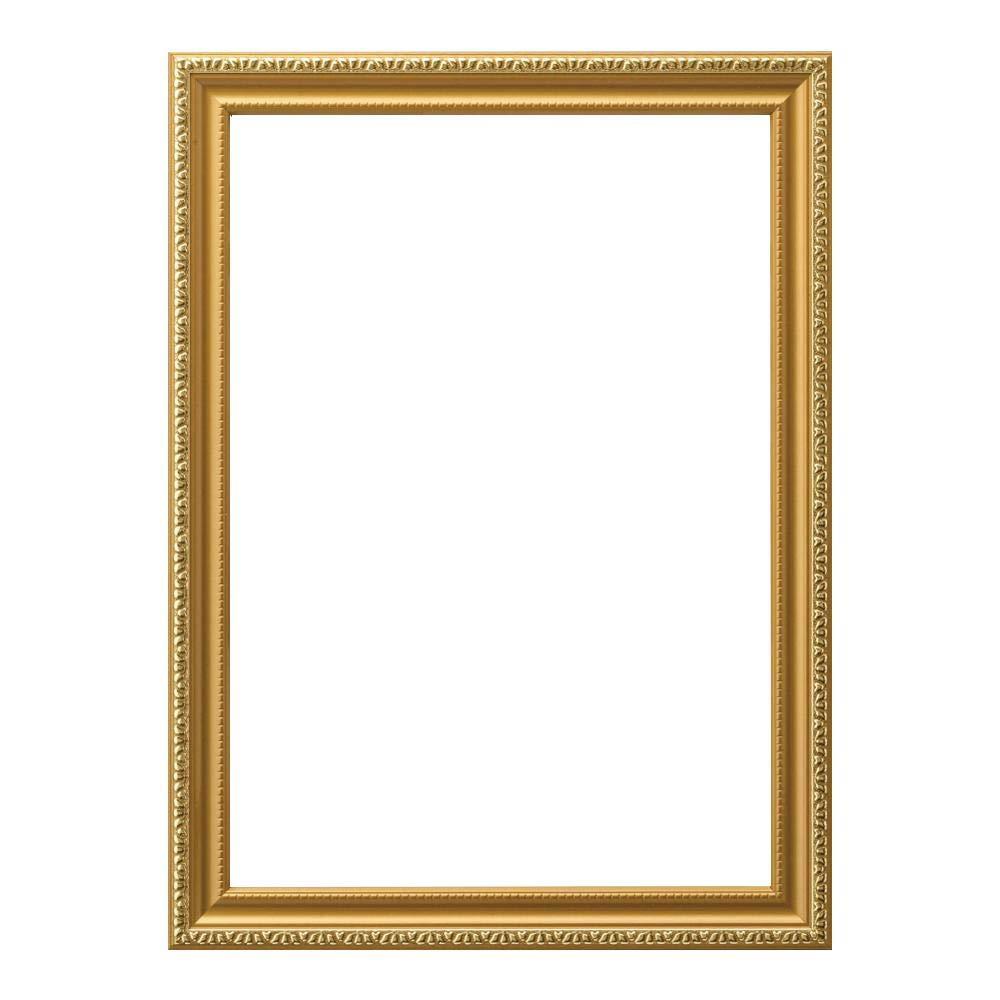 大仙 額縁 OA額 金消 R B4 樹脂製 箱入 J045C6200