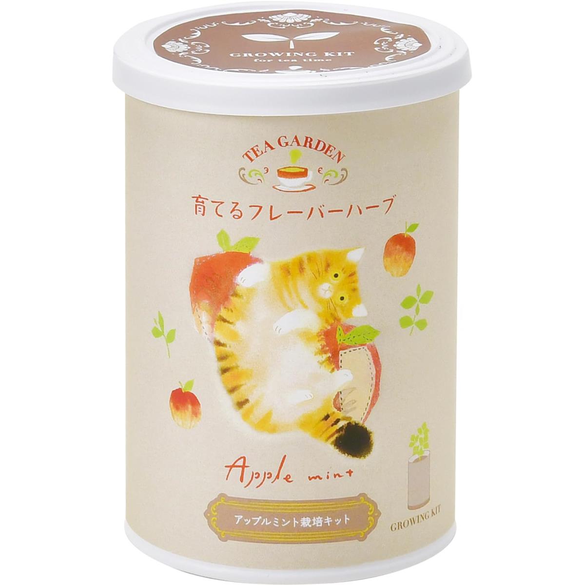 聖新陶芸 通年 家庭菜園 栽培キット 育てるフレーバー ア ップルミ ント ミニ 簡単 ゆったり育てる 香..