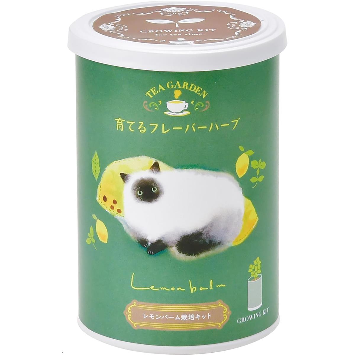 聖新陶芸 通年 家庭菜園 栽培キット 育てるフレーバー レモンバーム ミニ 簡単 ゆったり育てる 香草 ハ..