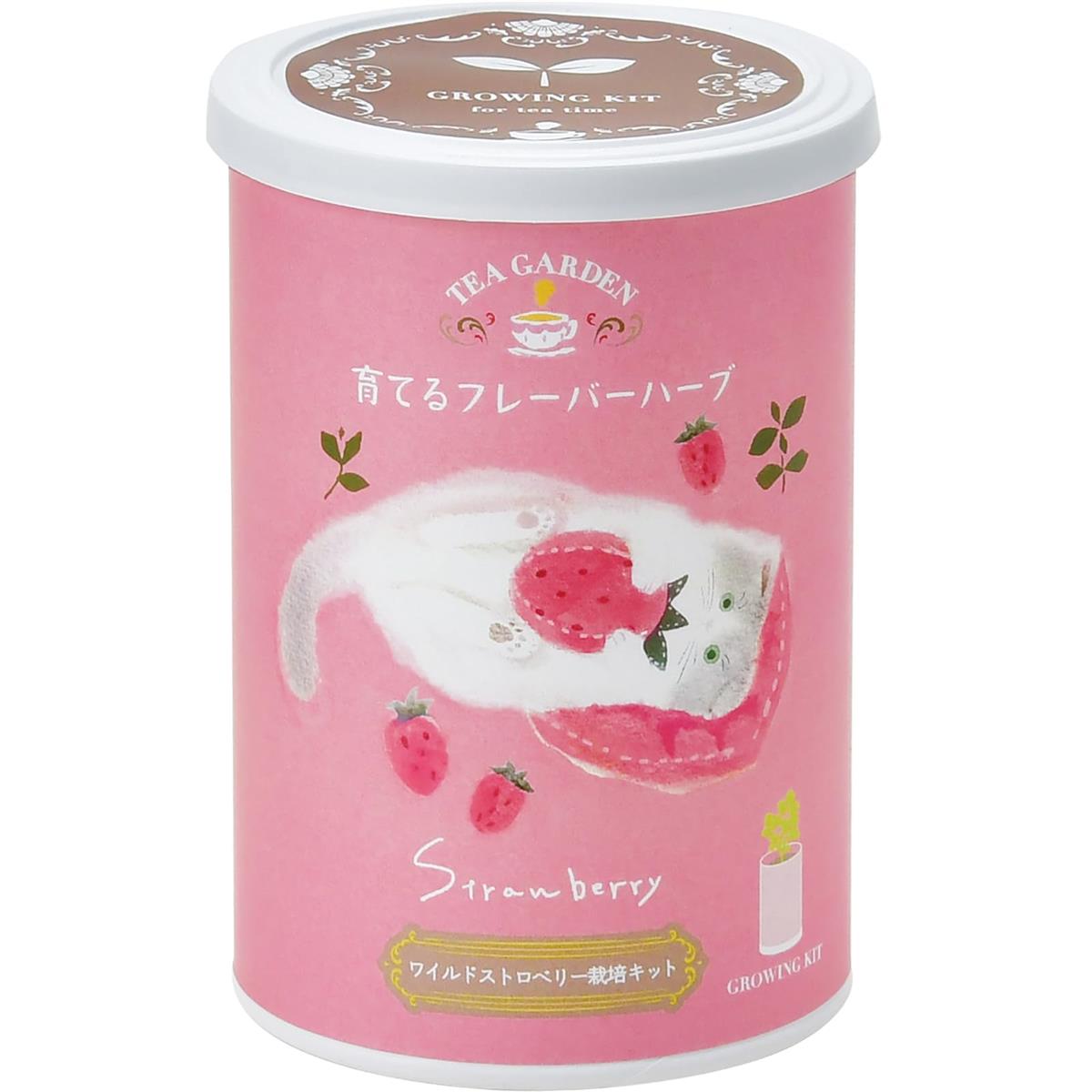 聖新陶芸 通年 家庭菜園 栽培キット 育てるフレーバー ワイルドストロベリ ー ミニ 簡単 ゆったり育て..