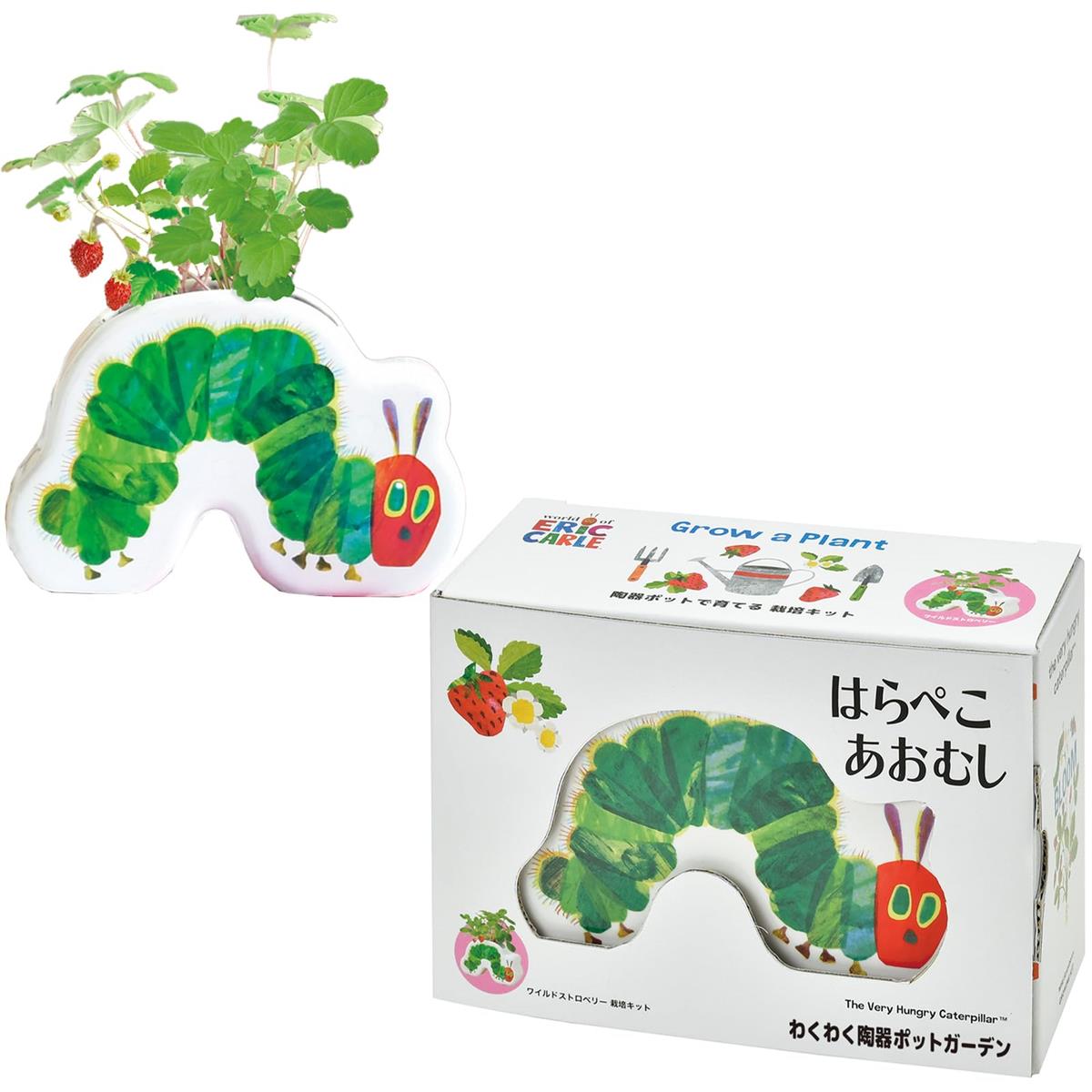 聖新陶芸 通年 家庭菜園 栽培キット はらぺこあおむし わくわく陶器ポットガーデン ワイルドストロベリ..