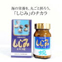 【送料無料】しじみエキス粒 200粒 日本ビタミン化学 しじみ エキス入