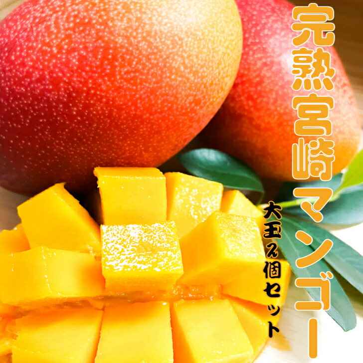 宮崎完熟マンゴー2個　大玉　3L 国産　贈り物　ギフト　南国　フルーツ　果物