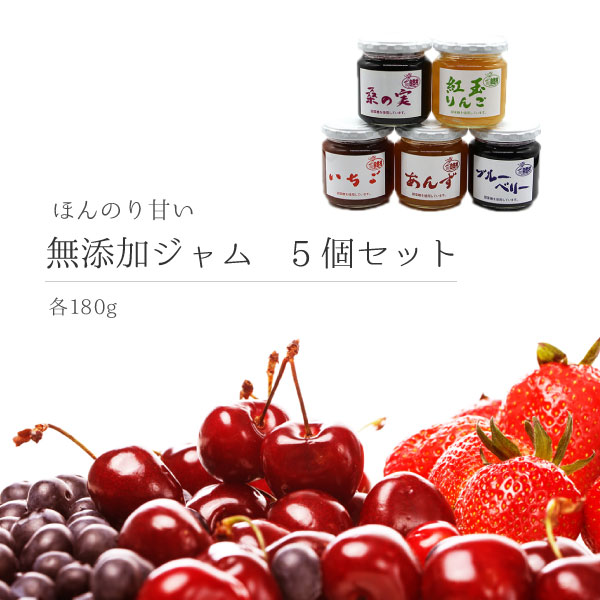 【うれしい5個セット】無添加ジャム5種(ブルーベリー/いちご/あんず/紅玉りんご/桑の実) 180g×各1個 低糖度 無着色 贈り物 お歳暮 フルーツジャム セット 食べ比べ 珍しい JAM