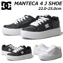 【最大1000円クーポン5/6まで】ディーシーシューズ DC SHOES DW231005 WS MANTECA 4 PLATFORM ウィメンズ 厚底スニーカー 靴