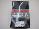 【数量限定セール】AVANTE アバンテ Xパワー XPJ0701-1 HD型 2006-2010年 レスポンスUP サン自動車
