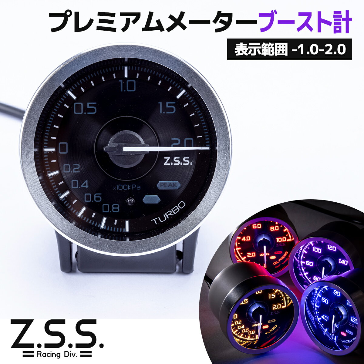 zssg0011.jpg