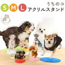 ソルト＆ペッパー　【シューズinチワワ】輸入雑貨 from USA犬雑貨　犬グッズ