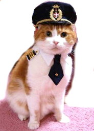 猫のお洋服 「ボクはパイロット(^^♪襟章ネクタイシャツ」（帽子別売）　キャットウェア猫服コスプレ中級者