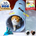 OPPO FabCat tunnel ファブキャットトンネル (6267) 猫用おもちゃ キャットトイ【特箱】